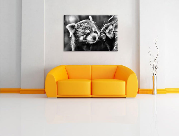 Pixxprint Kleiner Panda SAGT Hallo / 100x70cm Leinwandbild bespannt auf Holzrahmen/Wandbild Kunstdru