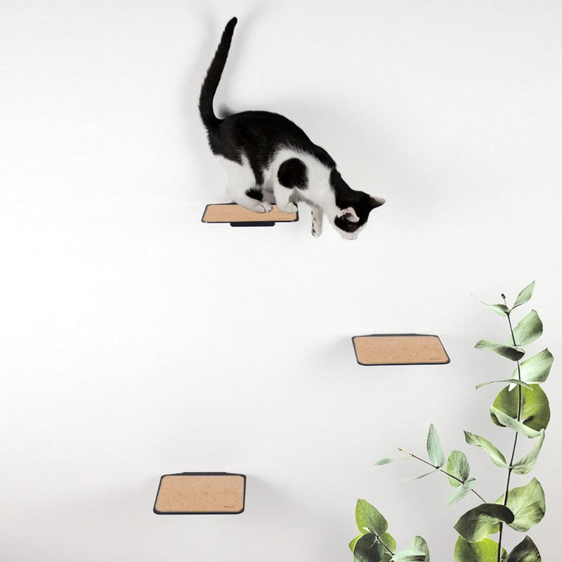 LucyBalu® Katzentreppe Wand Innen & Aussen 3er Set | Kletterwand für Katzen | Wandpark für Katzen bi