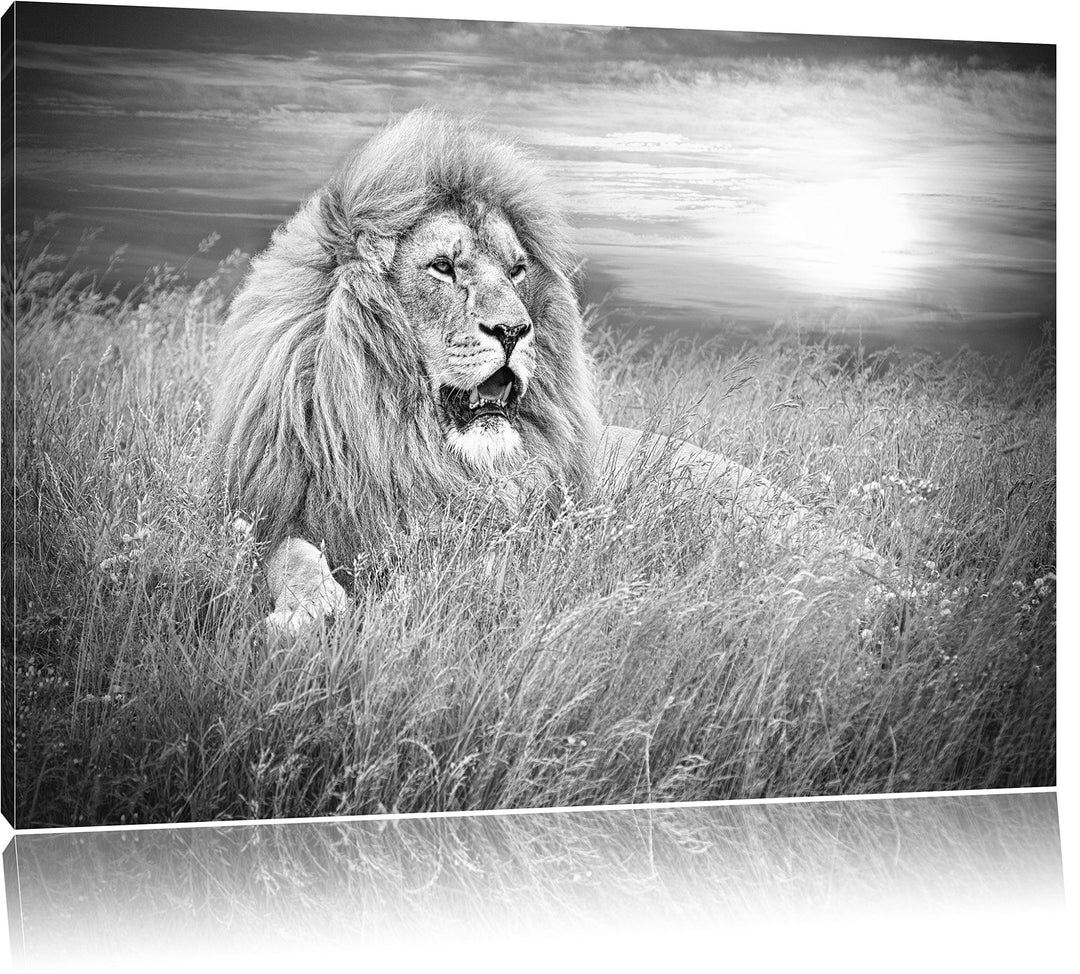 mächtiger Löwe Kunst B&W, Format: 100x70 auf Leinwand, XXL riesige Bilder fertig gerahmt mit Keilrah