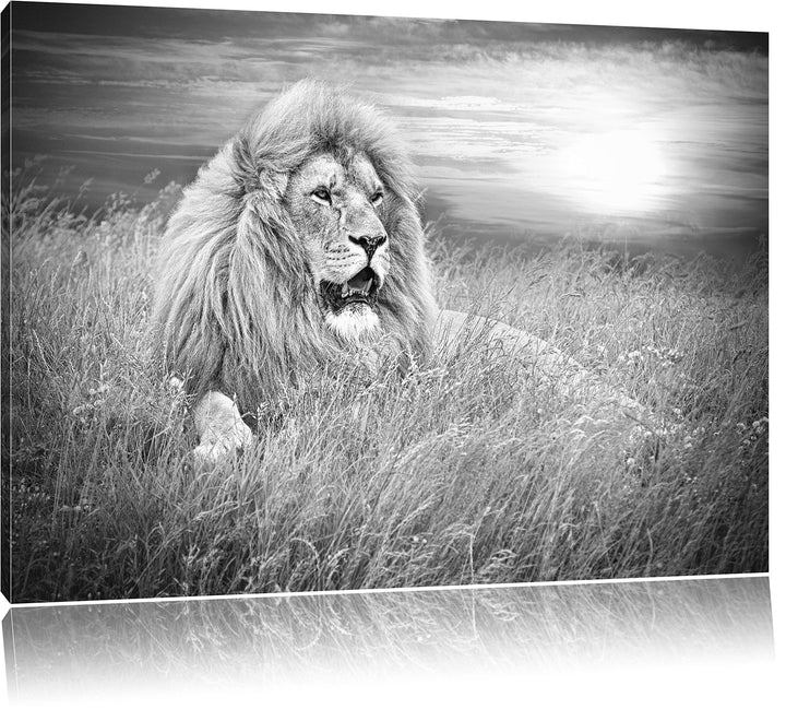 mächtiger Löwe Kunst B&W, Format: 100x70 auf Leinwand, XXL riesige Bilder fertig gerahmt mit Keilrah