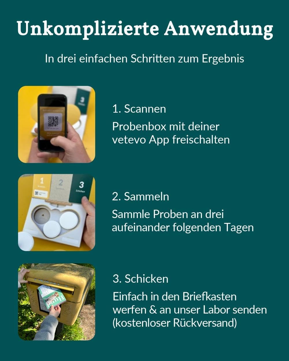 vetevo Giardientest Katze, Test auf Giardien Katze, bei Durchfall, Gewichtsverlust, Erbrechen & Appe