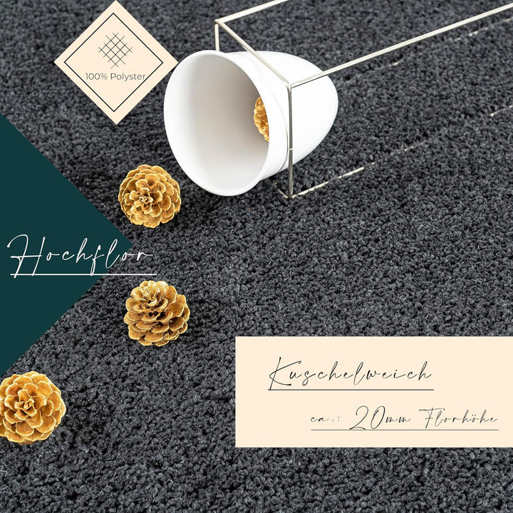 payé Teppich Hochflor Wohnzimmer - Anthrazit - 120x170cm - Shaggy Einfarbig Soft Weich Schlafzimmer