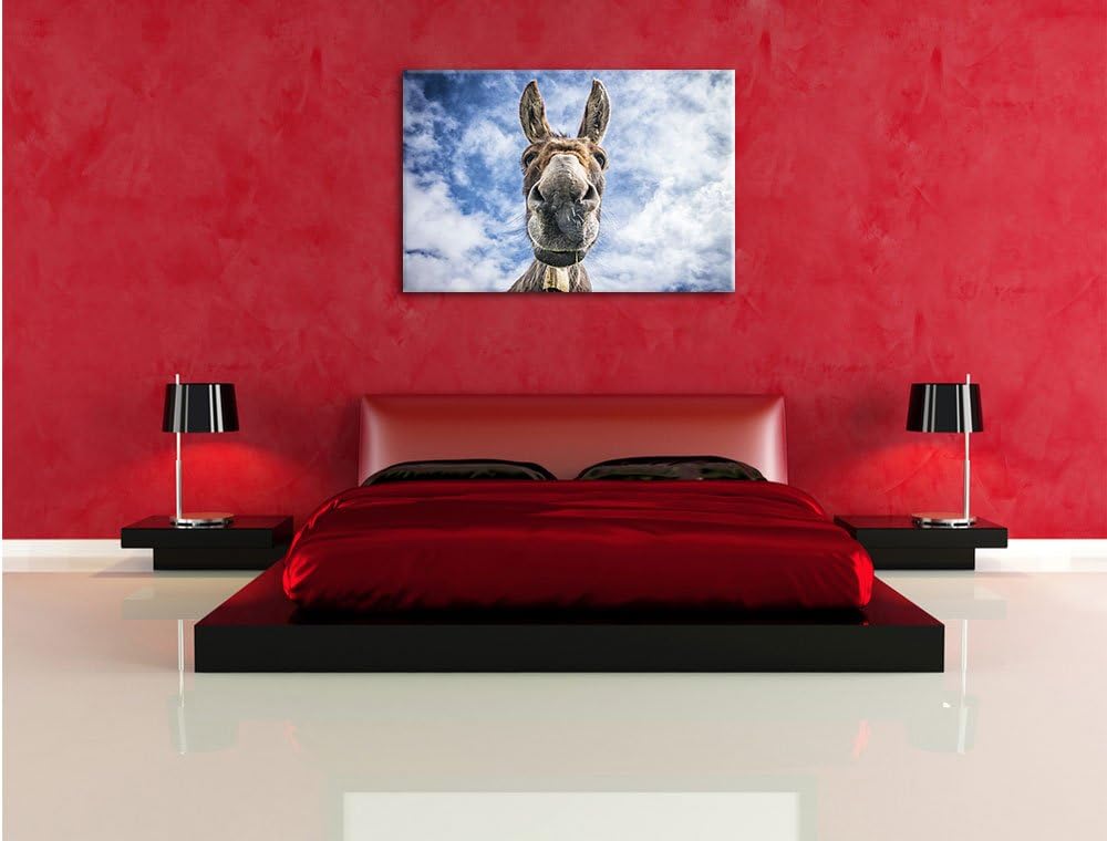 Pixxprint Lustiger Esel, Format: 100x70 auf Leinwand, XXL riesige Bilder fertig gerahmt mit Keilrahm