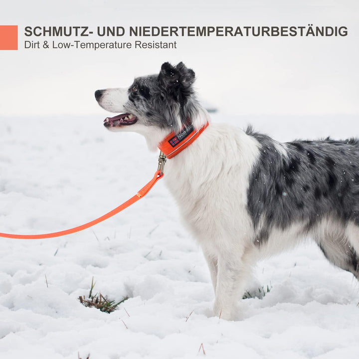 Toozey Schleppleine für Hunde, 5m / 10m / 15m / 20m Schleppleine mit Handschlaufe und Netztasche, Wa