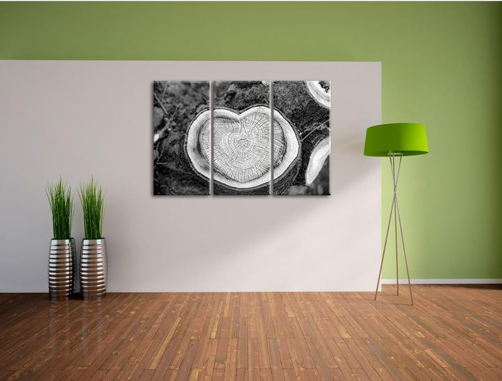 Pixxprint Jahresringe am Baumstamm als Leinwandbild/Grösse: 3 Teilig (120x80) cm/Wandbild/Kunstdruck