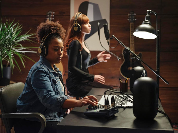 AKG P120 Hochleistungs-Allzweck-Aufnahme-Mikrofon, Studioqualität, Grossmembran, vielseitig einsetzb