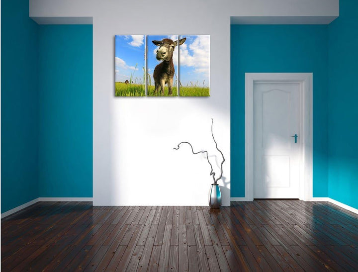 Pixxprint Esel in einem Feld als Leinwandbild/Grösse: 3Teilig (120x80) / Wandbild/Kunstdruck/fertig