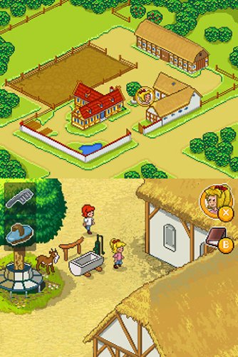 Das grosse Unwetter - [Nintendo DS]