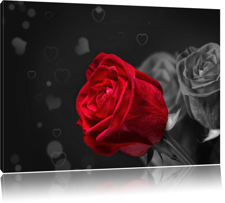 rote Rosen zum Valentinstag schwarz/weiss Format: 100x70 auf Leinwand, XXL riesige Bilder fertig ger