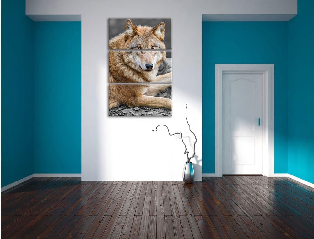 Pixxprint stolzer Wolf auf Stein als Leinwandbild/Grösse: 3 Teilig (120x80) cm/Wandbild/Kunstdruck/f