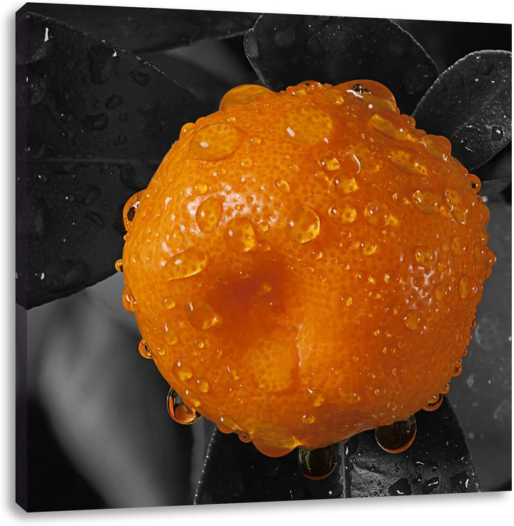Pixxprint Orange mit Wassertropfen als Leinwandbild | Grösse: 70x70 cm | Wandbild| Kunstdruck | fert