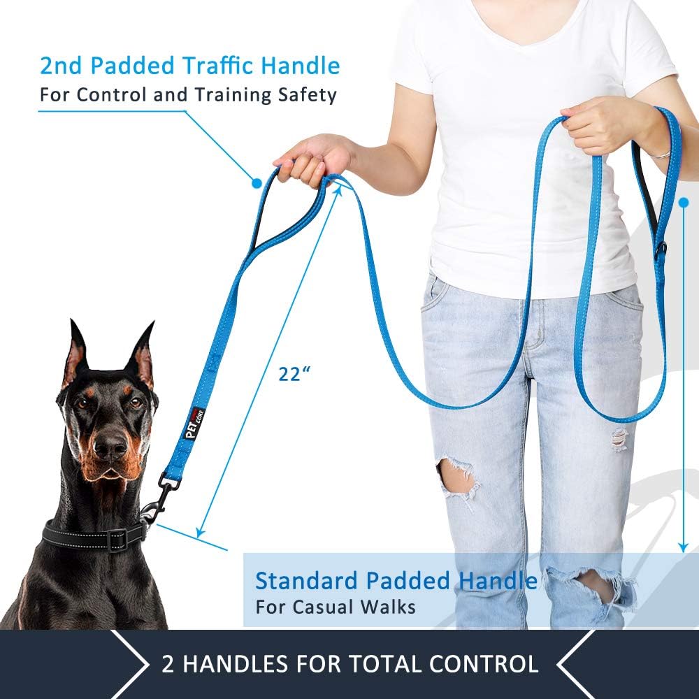 Plutus Pet Hundeleine mit doppeltem Griff, 1,5 m lang, für mittelgrosse und grosse Hunde | Reflektie