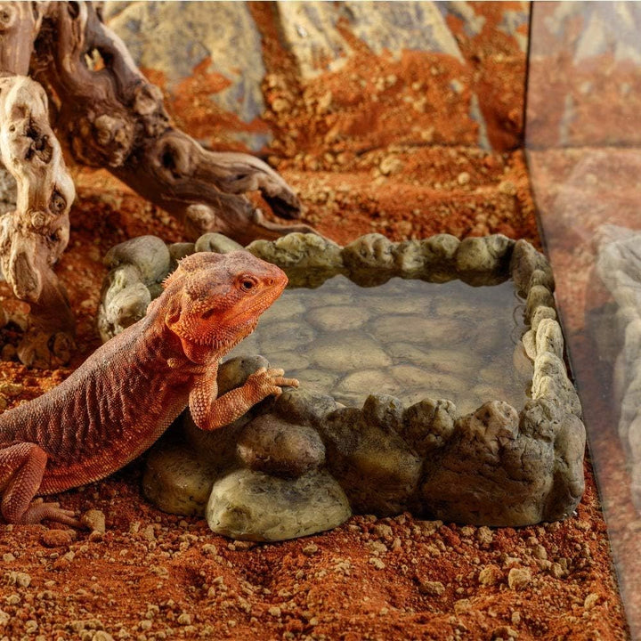 Exo Terra Corner Water Dish, Eck Wassernapf, Wasserschale für Reptilien, extra gross, XL braun XL, b