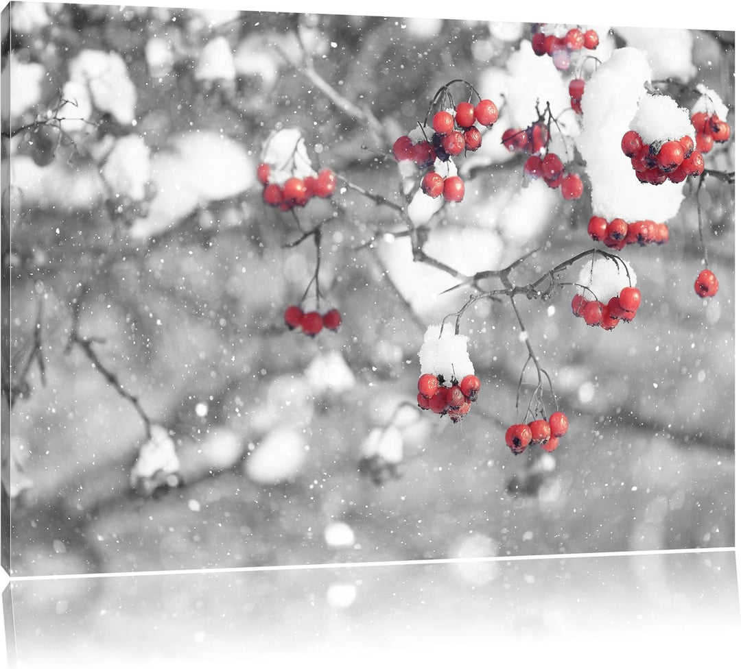 Pixxprint Vogelbeeren mit Schnee bedeckt Schwarz/Weiss, Format: 100x70 auf Leinwand, XXL riesige Bil