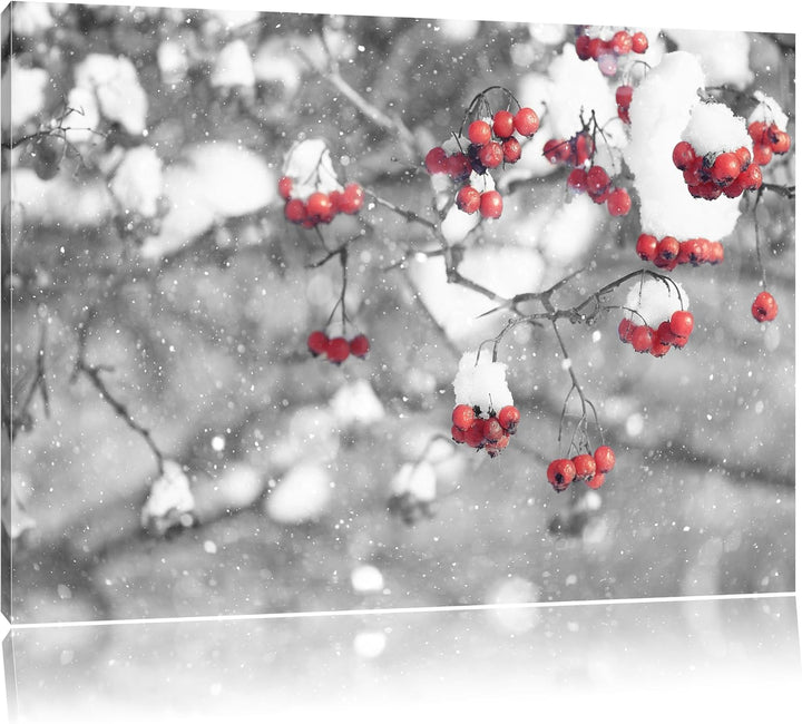 Pixxprint Vogelbeeren mit Schnee bedeckt Schwarz/Weiss, Format: 100x70 auf Leinwand, XXL riesige Bil