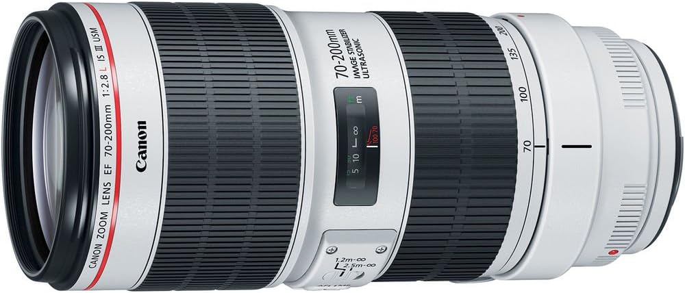 Canon EF 70-200mm F2.8L IS III USM Objektiv (77mm Filtergewinde) schwarz Single, Single
