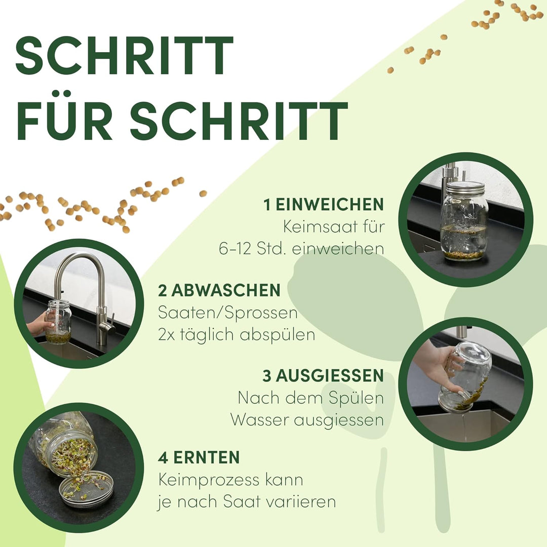 Green SEEDS Sprossenglas Keimglas 1er Set 1000ml mit hochwertigem Edelstahl-Gitterdeckel, Ständer +