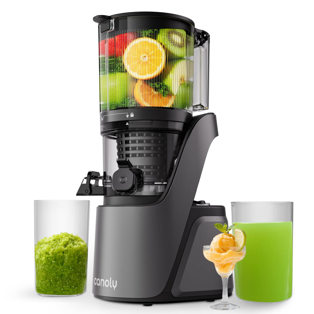 Entsafter Slow Juicer mit 6 Zoll Grosser Einfüllschacht Grau