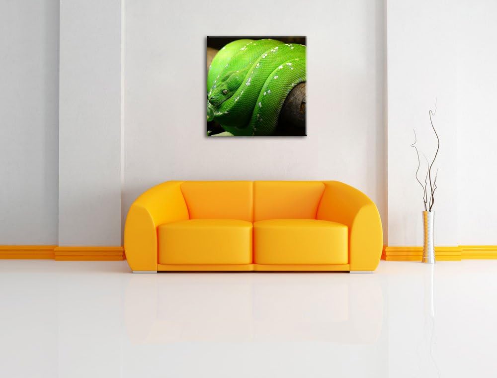 Grüne exotische Schlange, Format: 70x70 auf Leinwand, XXL riesige Bilder fertig gerahmt mit Keilrahm