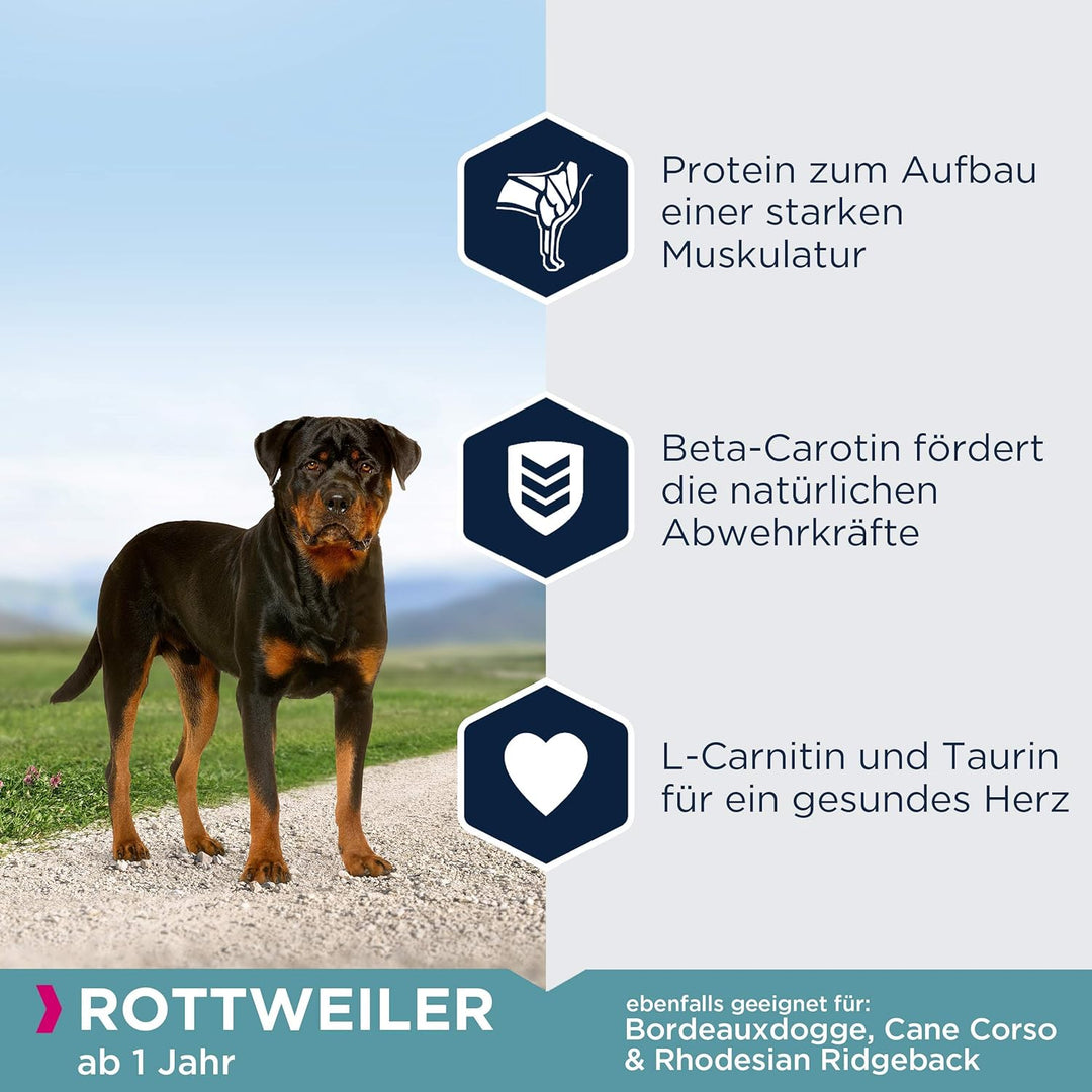 Eukanuba Breed Specific Rottweiler Trockenfutter - optimal auf die Rasse abgestimmtes Premium Hundef