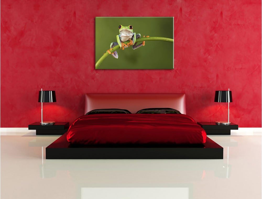 Baum-Frosch auf Bambus, Format: 100x70 auf Leinwand, XXL riesige Bilder fertig gerahmt mit Keilrahme