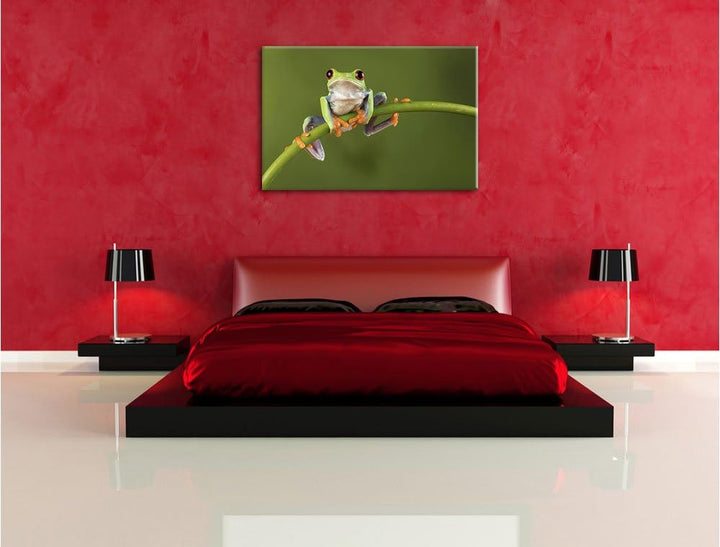 Baum-Frosch auf Bambus, Format: 100x70 auf Leinwand, XXL riesige Bilder fertig gerahmt mit Keilrahme