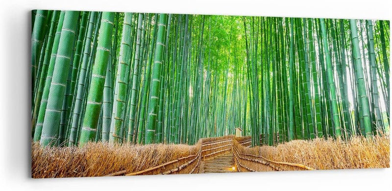 Wandbilder Dekoration Wohnzimmer Bambus Pflanze Panorama Bilder auf Leinwand 120x50cm Leinwandbild m