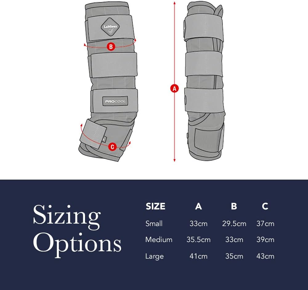 LeMieux Tendon Chill Boots Kühlgamaschen schwarz, Grösse:OneSize blue (silver), blue (silver)