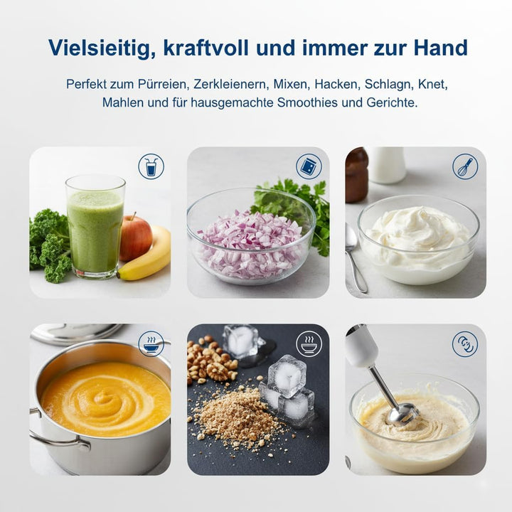 Koliber ROTOMAX X 1400W Stabmixer Set Pürierstab Edelstahl 12 Stufen Turbo Zerkleinerer Schneebesen