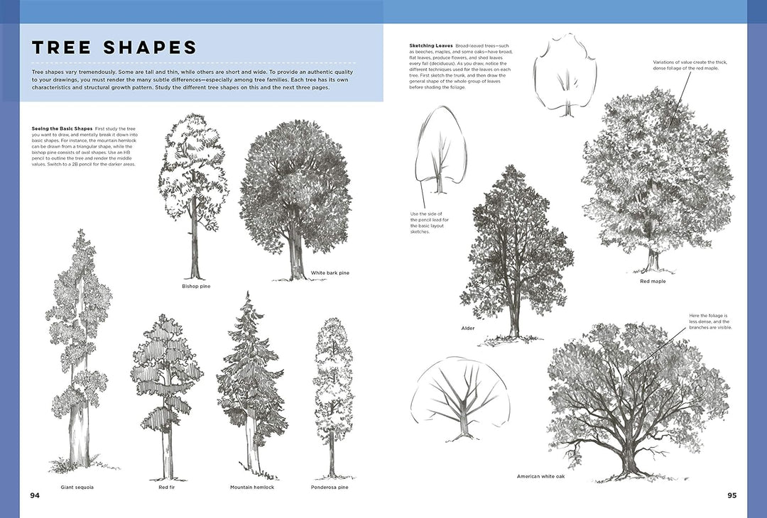 The Art of Basic Drawing: Simple step-by-step techniques for drawing a variety of subjects in graphi