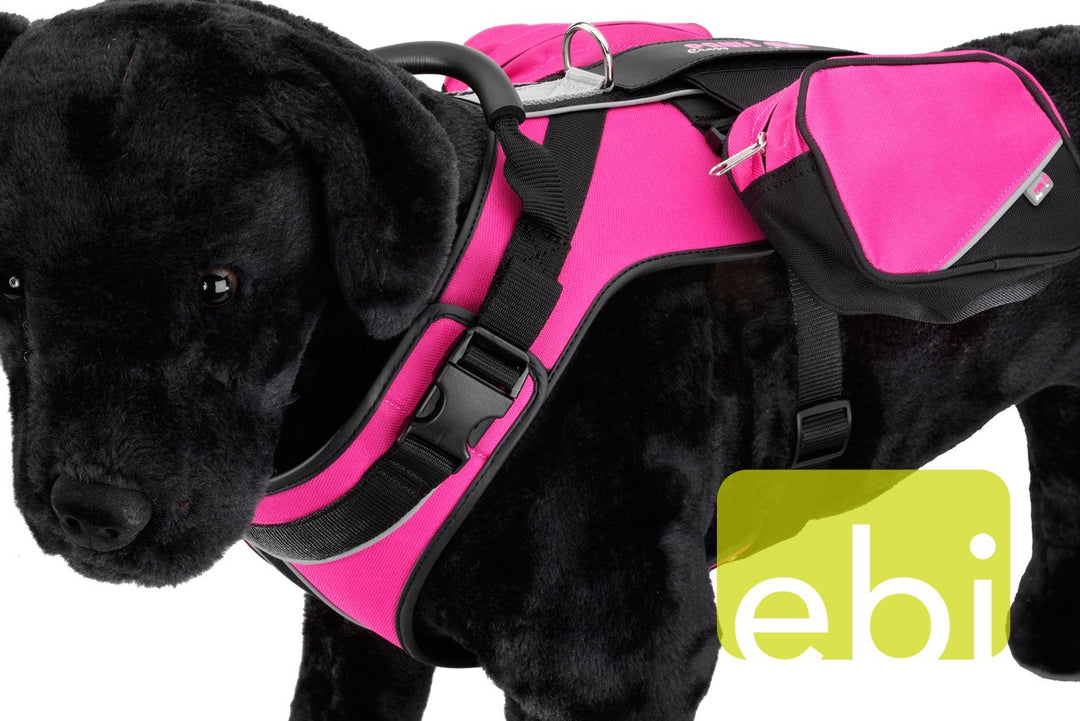 Europet Bernina 313-409282 Sportgeschirr Crazy Paws 54-69 cm/41-99 cm, rosa XL rose, XL rose