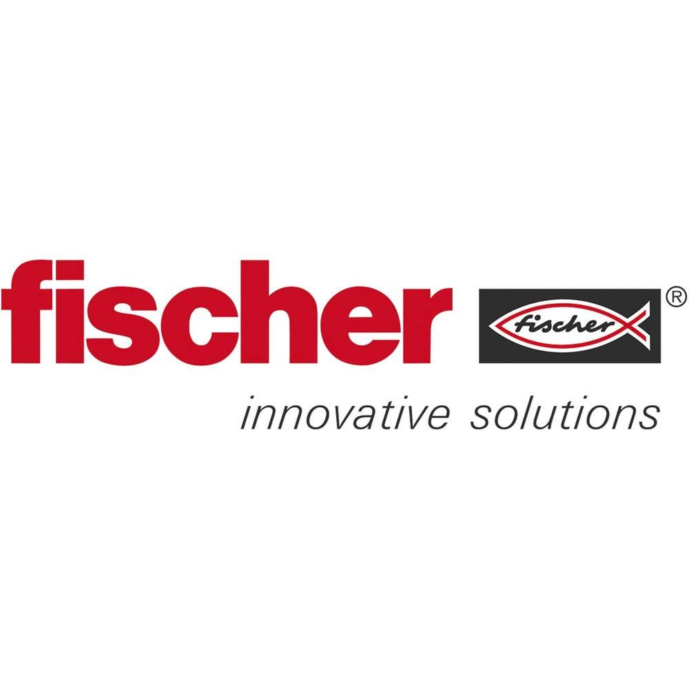 Fischer Schlauchschelle SGS 9, W2 40-60, 45524