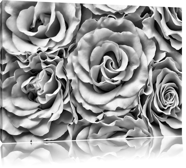 Pixxprint Blumen Rosen Blumenmeer / 100x70cm Leinwandbild bespannt auf Holzrahmen/Wandbild Kunstdruc