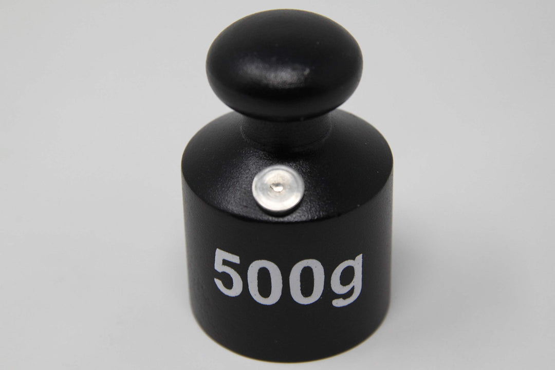WISSNER aktiv lernen - Gewicht Gusseisen 0,5kg 500 Grams, 500 Grams