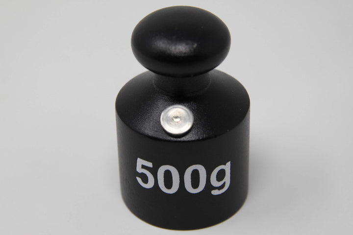 WISSNER aktiv lernen - Gewicht Gusseisen 0,5kg 500 Grams, 500 Grams