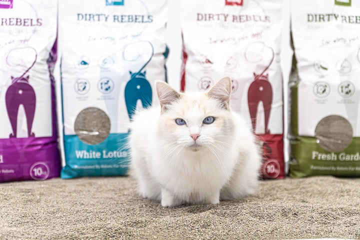 Petrebels Katzenstreu Dirty Rebels, 12x 10 Liter, Fresh Garden Duft, 100% Natürlich, 12er-Pack, Fres