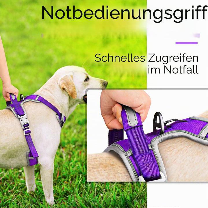 ThinkPet No-Pull Hundegeschirr, Atmungsaktiv Brustgeschirr für Kleine Mittlere Grosse Hunde, Einstel