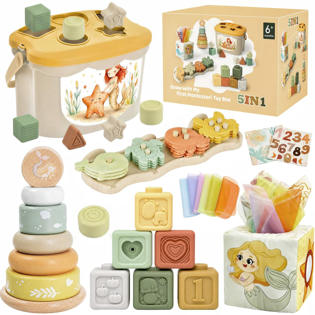 Anook Montessori Spielzeug ab 6 Monate, 5 in 1 Motorikspielzeug ab 6 9 12 Monate mit Babyspielzeug K