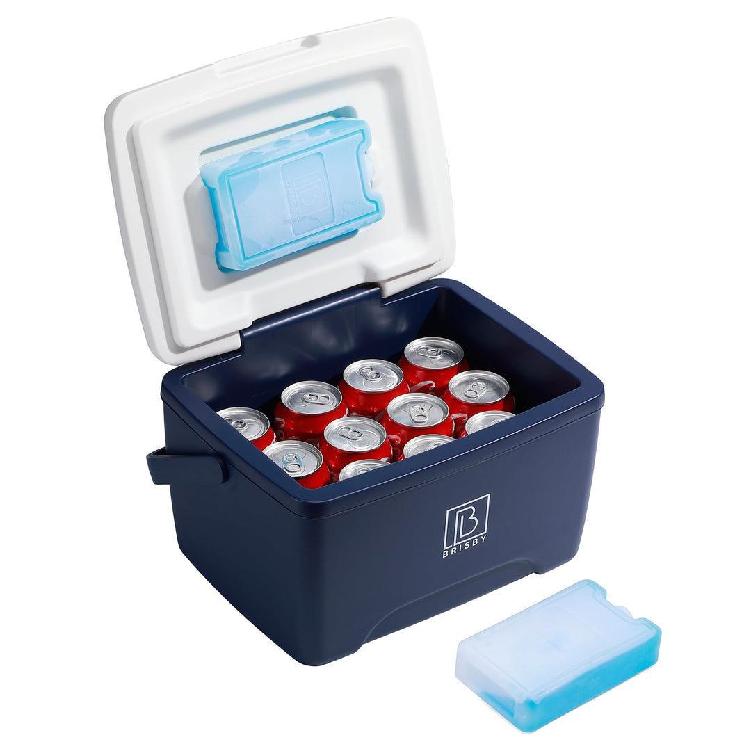 Brisby Kühlbox 8 Liter - 18 Stunden warm - 40 Stunden kühl - Inklusive 2 grosse Kühlelemente 450 ML