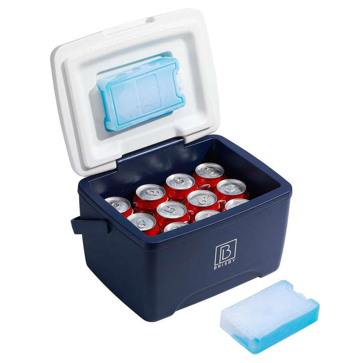 Brisby Kühlbox 8 Liter - 18 Stunden warm - 40 Stunden kühl - Inklusive 2 grosse Kühlelemente 450 ML