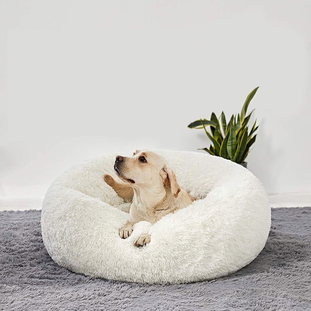 HACHIKITTY Calming Donut Cuddler Hundebett, Indoor-Welpenbett für grosse Hunde, 76,2 cm Large Round