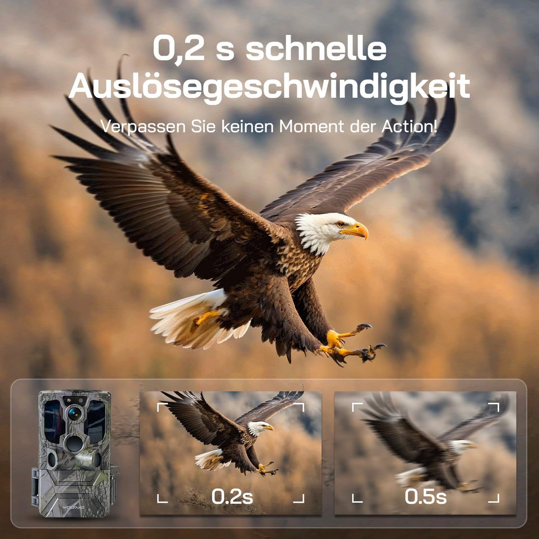 WOLFANG Wildkamera, 2.5K 4G LTE Live Solar Übertragung Wildkamera mit Handyübertragung App, Echtzeit