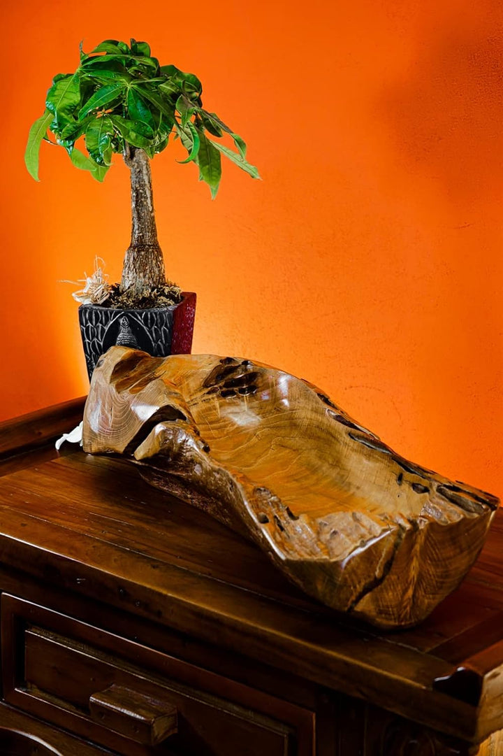 Kinaree Deko Schale Wurzelholz - Schale Teak Massivholz - 55-65cm Obst Schale