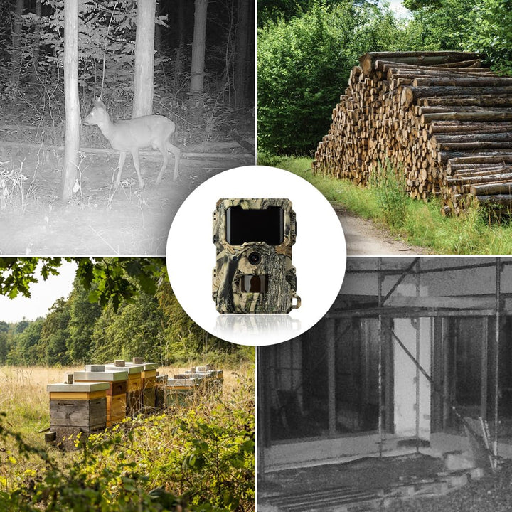 DÖRR Snapshot Mini 5.0 Pro Wildkamera, Starter-Set, Überwachungskamera, 5MP Bilder, Full HD1080P Vid