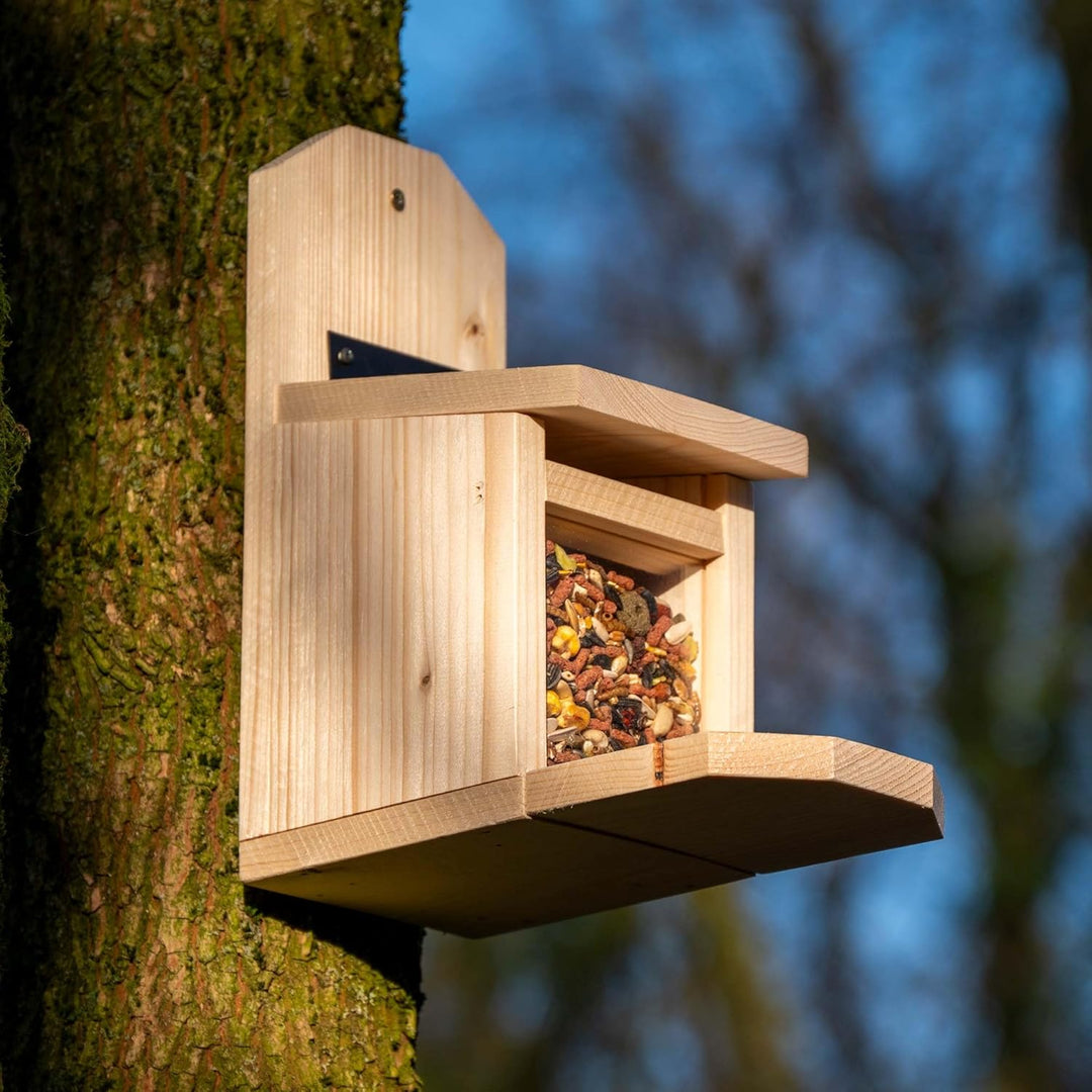 dobar® Eichhörnchen Futterstation - Eichhörnchen Futterhaus mit Acrylglasscheibe - Futterstelle mit