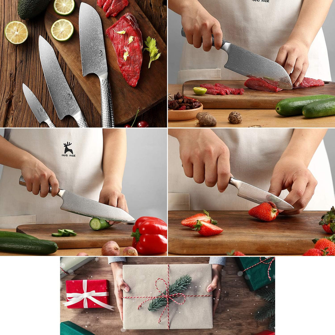 NANFANG BROTHERS Damaskus Küchenmesser Set, Messerse mit Kochmesser, Santoku Messer und Schälmesser,