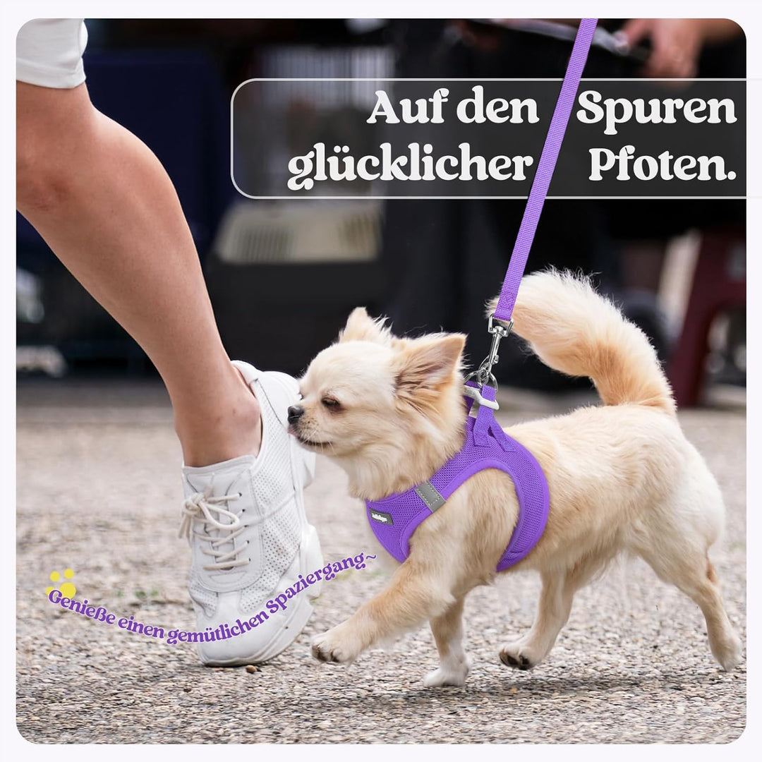 rabbitgoo Hundegeschirr Kleine Hunde mit Leine, Step-in Welpengeschirr Weich Mesh für Spaziergänge,