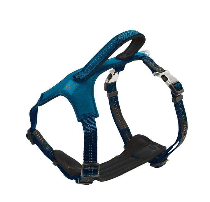 MICHUR Bruno Hunde BRUSTGESCHIRR Blau, Nylon Hundegeschirr, Neopren Polsterung, Schnell-klick-Schnal