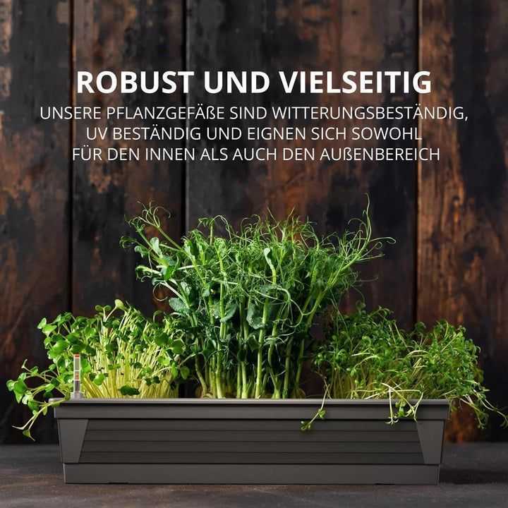 Blumenkasten Milano 3er Set 80 cm lang Farbe Anthrazit mit Wasserspeicher und Wasserstandsanzeige Pf
