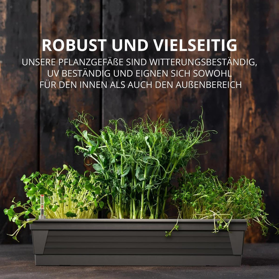 Blumenkasten Milano 3er Set 60 cm lang Farbe Anthrazit mit Wasserspeicher und Wasserstandsanzeige Pf